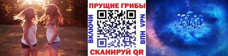 продажа наркотиков  Болгар  MEGA ССЫЛКА  Псилоцибиновые грибы Psilocybine cubensis 